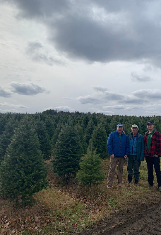 Real Christmas Trees Delivered 9 Foot Premium Balsam Fir Christmas Tree