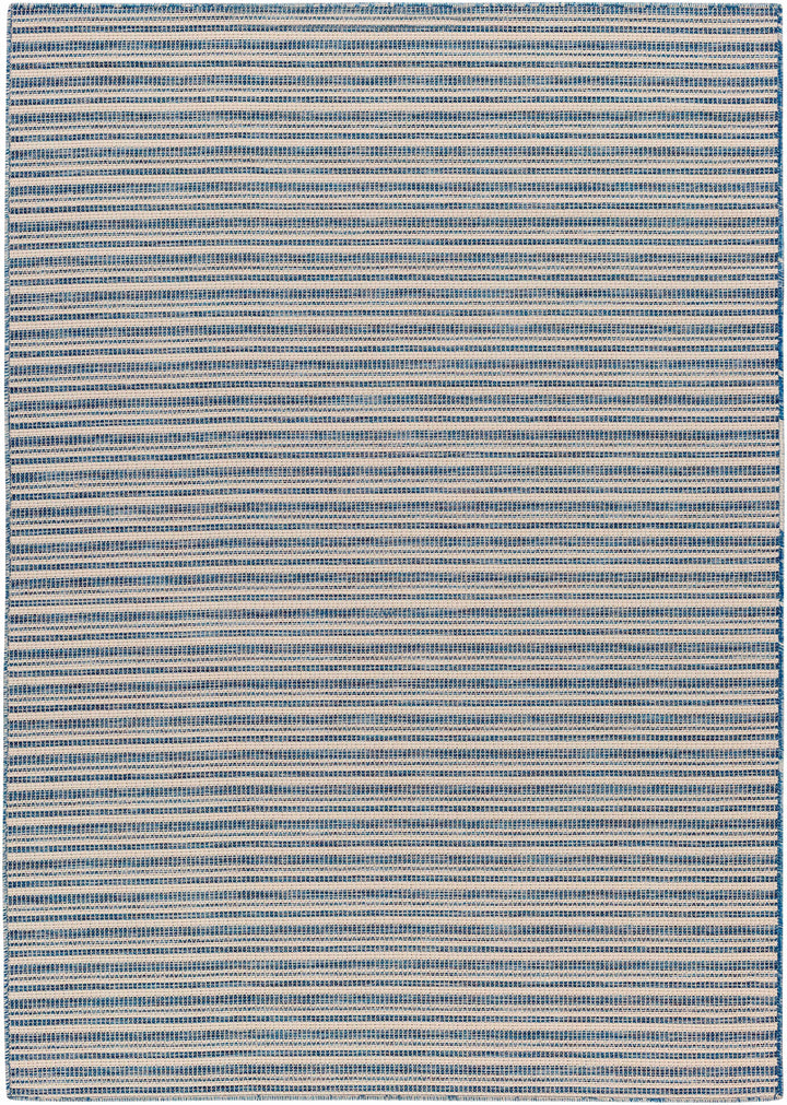 Greg Navy Outdoor Area Rug - Clearance