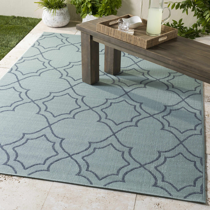 Ursa Outdoor Area Rug - Clearance