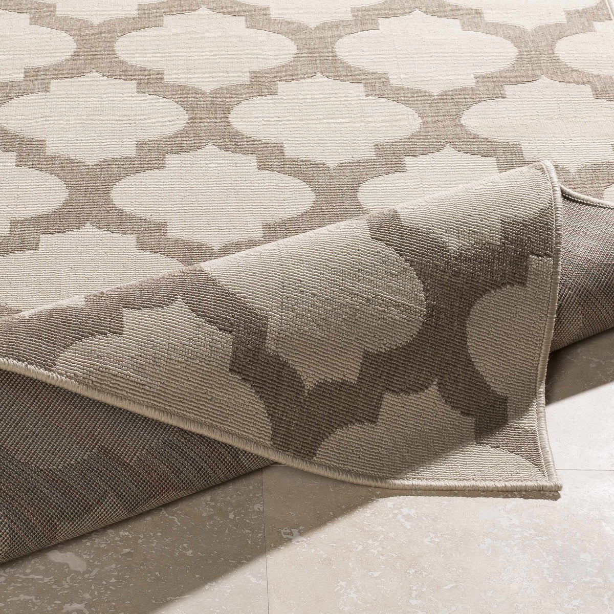 Winterville Outdoor Area Rug - Clearance