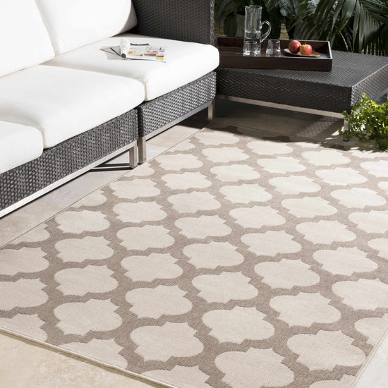 Winterville Outdoor Area Rug - Clearance
