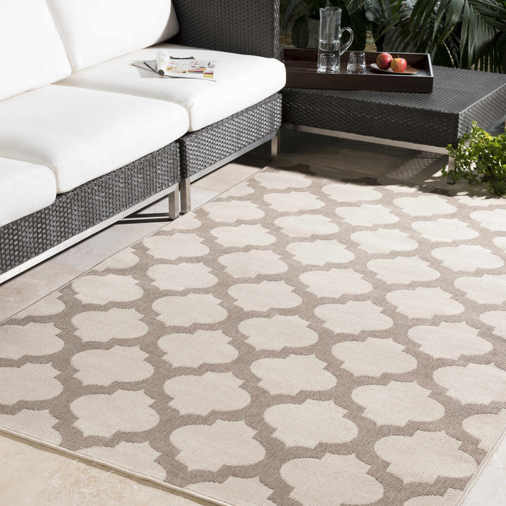 Winterville Outdoor Area Rug - Clearance