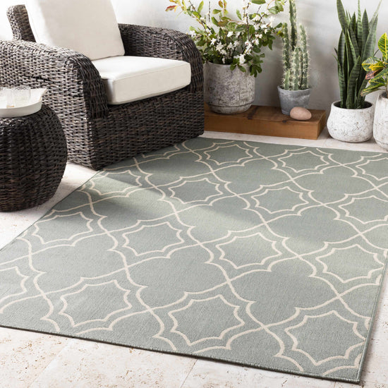 Wroxham Outdoor Area Rug - Clearance
